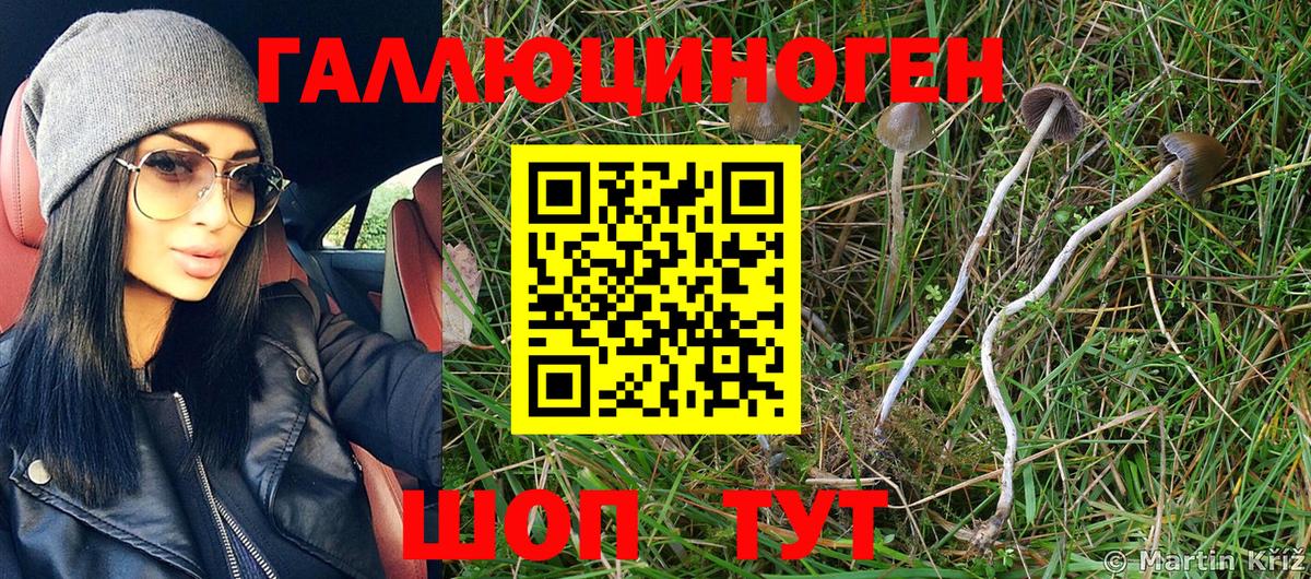 Псилоцибиновые грибы Psilocybine cubensis  Вход с VPN  Дальнегорск 
