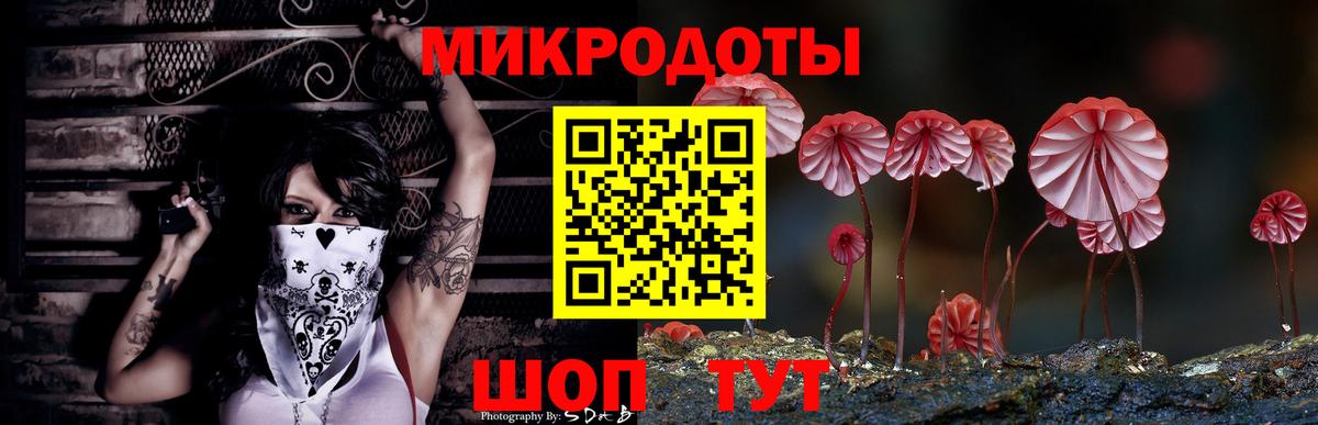 Псилоцибиновые грибы мицелий Дальнегорск